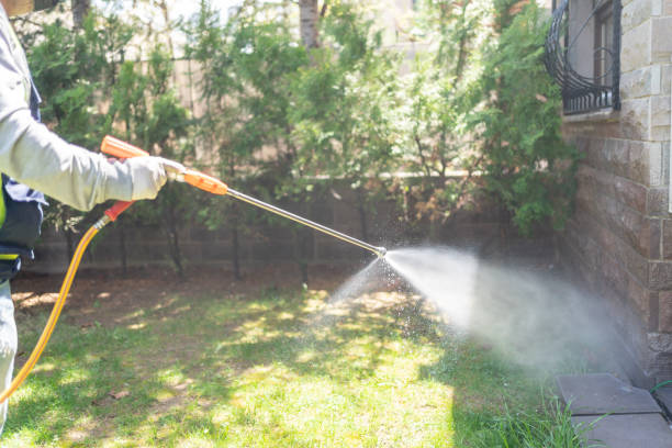 Best Fumigation Services  in Oak Lawn, IL